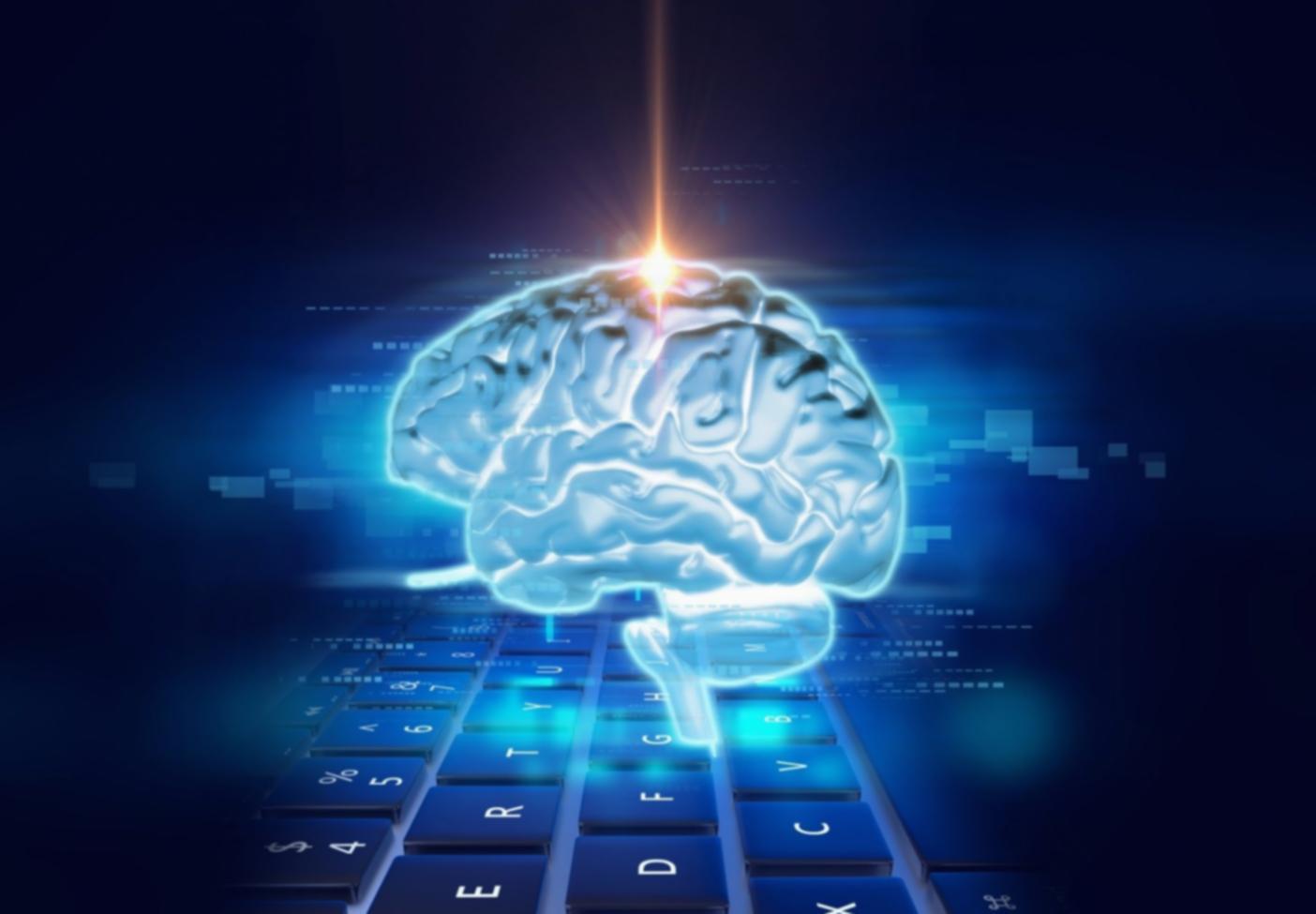 Workshop-Szene mit aktiven Teilnehmern bei praktischen Übungen